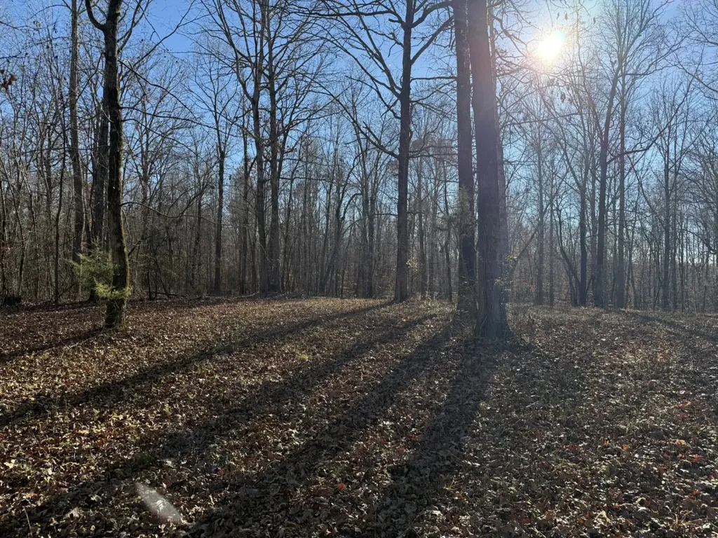 8951 County Road 11 Florence AL 35633