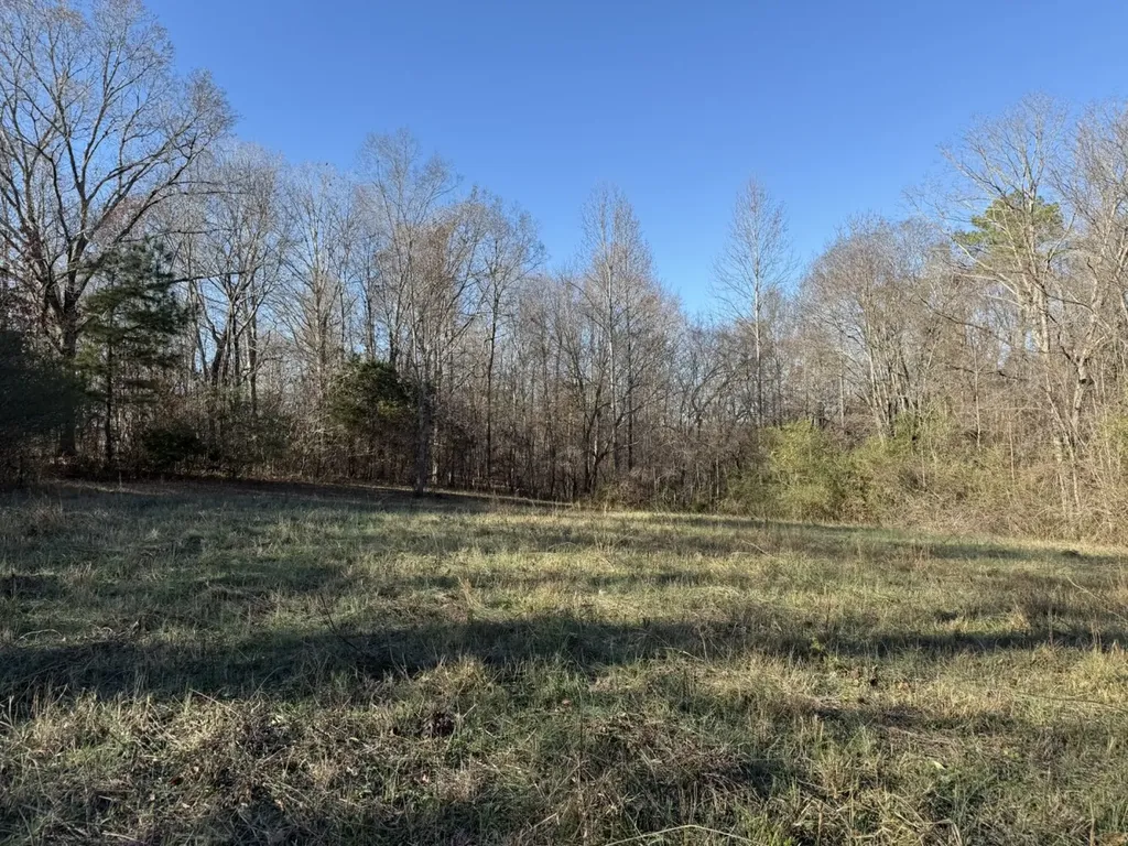 8951 County Road 11 Florence AL 35633