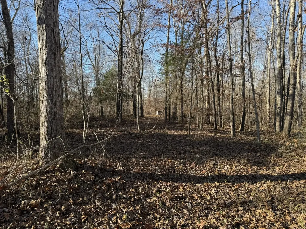 8951 County Road 11 Florence AL 35633