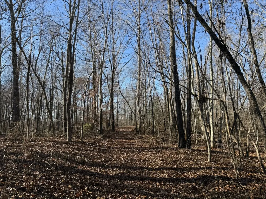 8951 County Road 11 Florence AL 35633