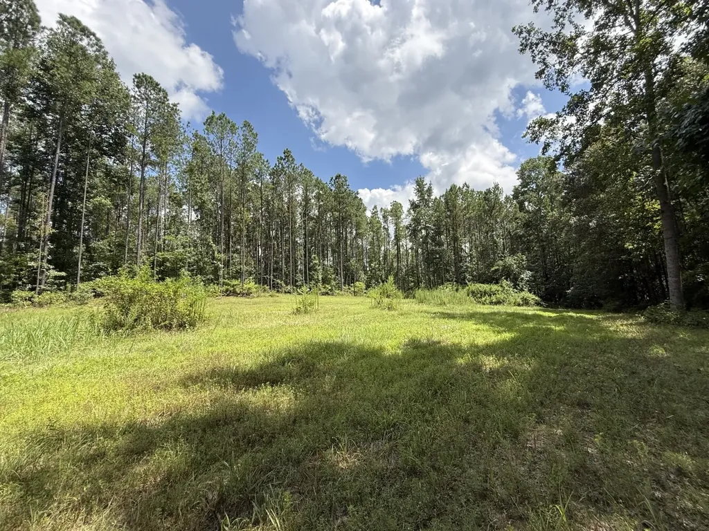 0 County Road 51 Greensboro AL 36744