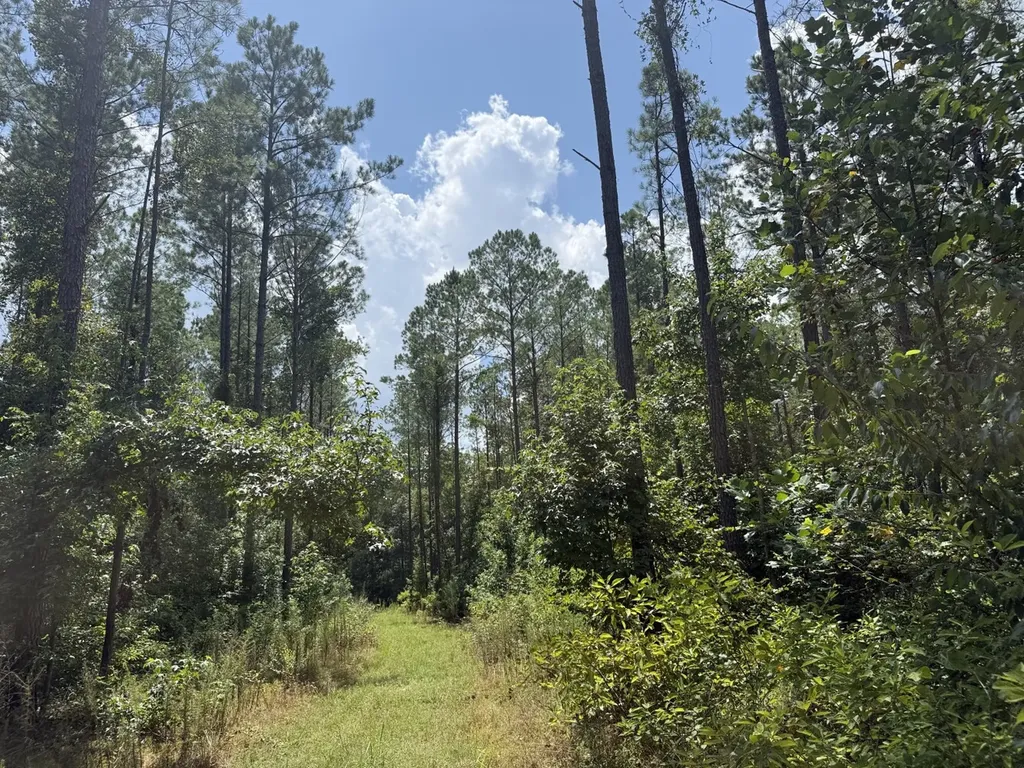 0 County Road 51 Greensboro AL 36744