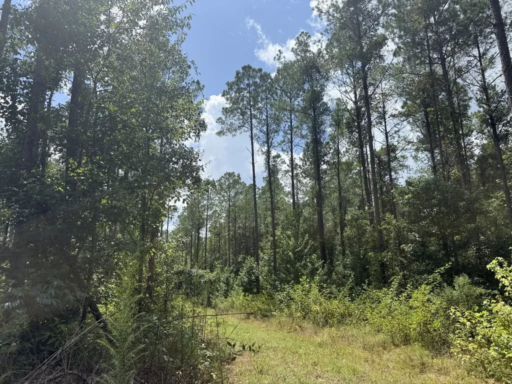 0 County Road 51 Greensboro AL 36744