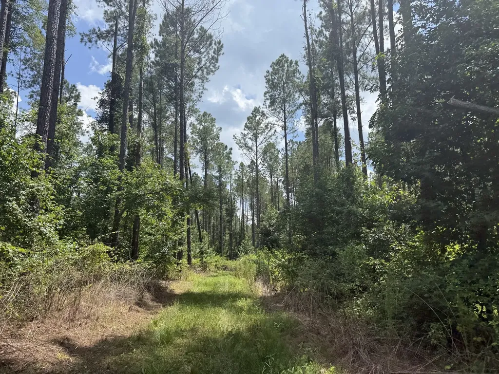 0 County Road 51 Greensboro AL 36744