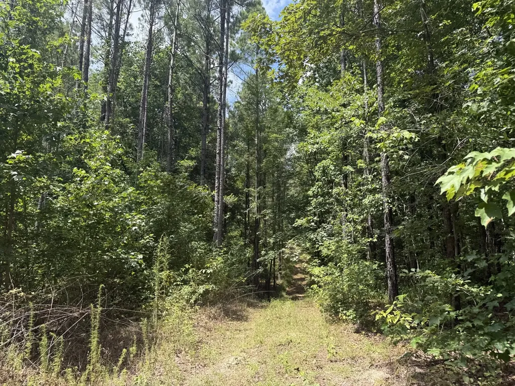 0 County Road 51 Greensboro AL 36744