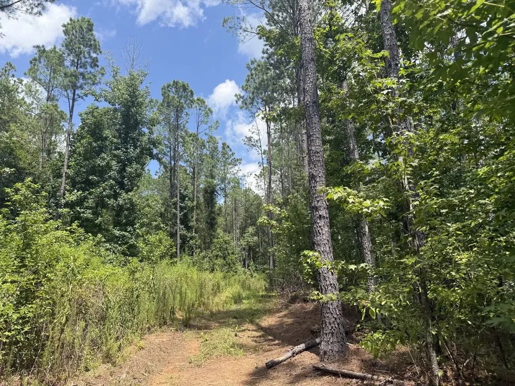 0 County Road 51 Greensboro AL 36744