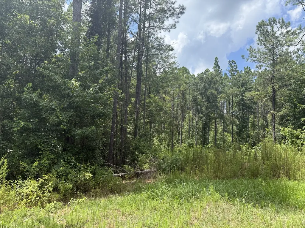 0 County Road 51 Greensboro AL 36744