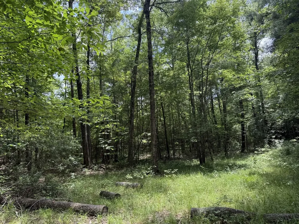 0 County Road 51 Greensboro AL 36744