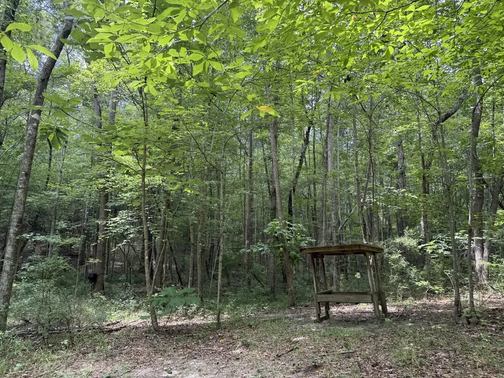 0 County Road 51 Greensboro AL 36744