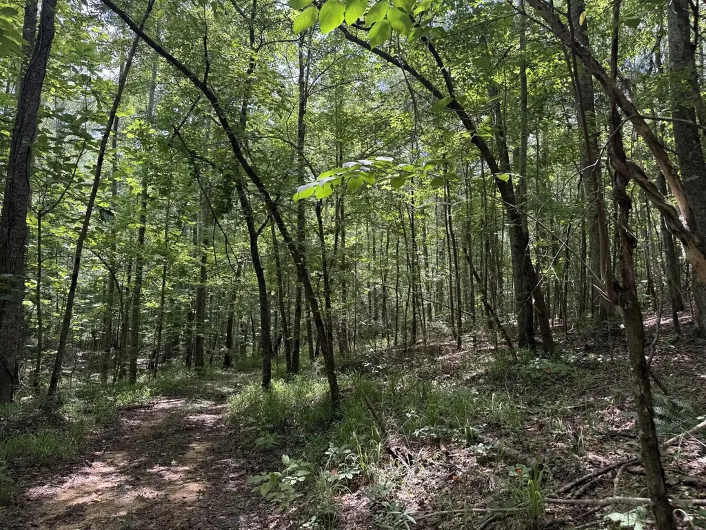 0 County Road 51 Greensboro AL 36744