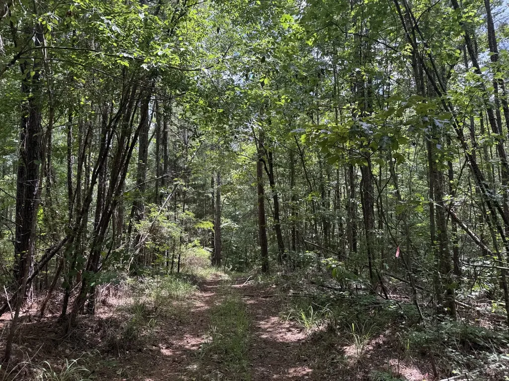 0 County Road 51 Greensboro AL 36744