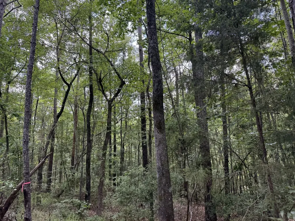 0 County Road 51 Greensboro AL 36744