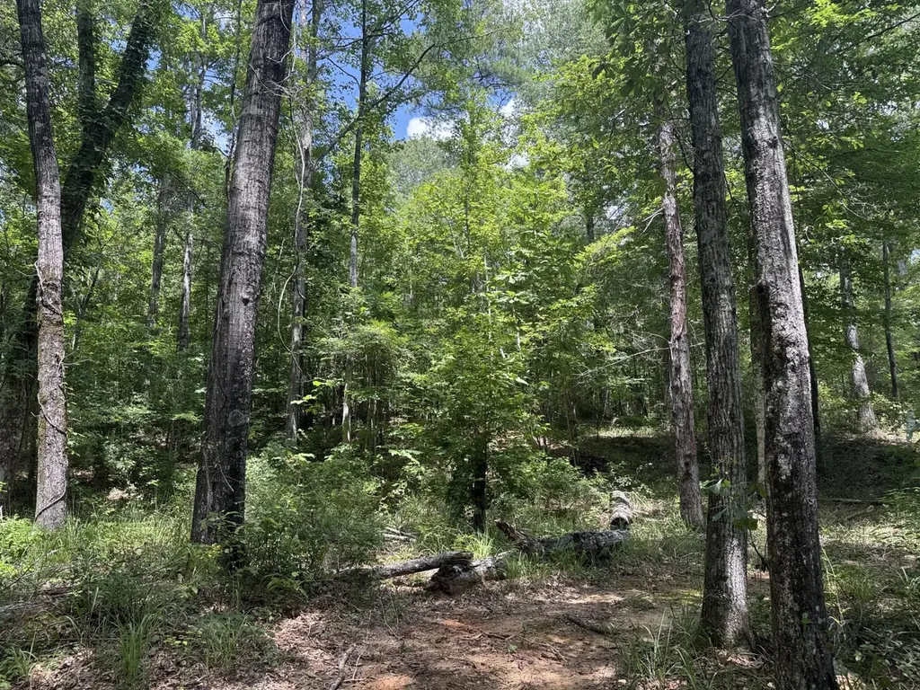 0 County Road 51 Greensboro AL 36744