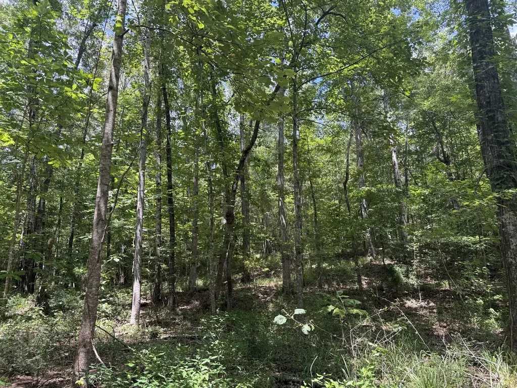 0 County Road 51 Greensboro AL 36744