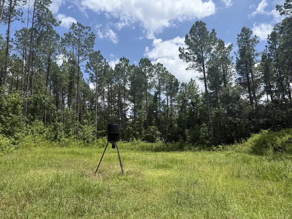 0 County Road 51 Greensboro AL 36744