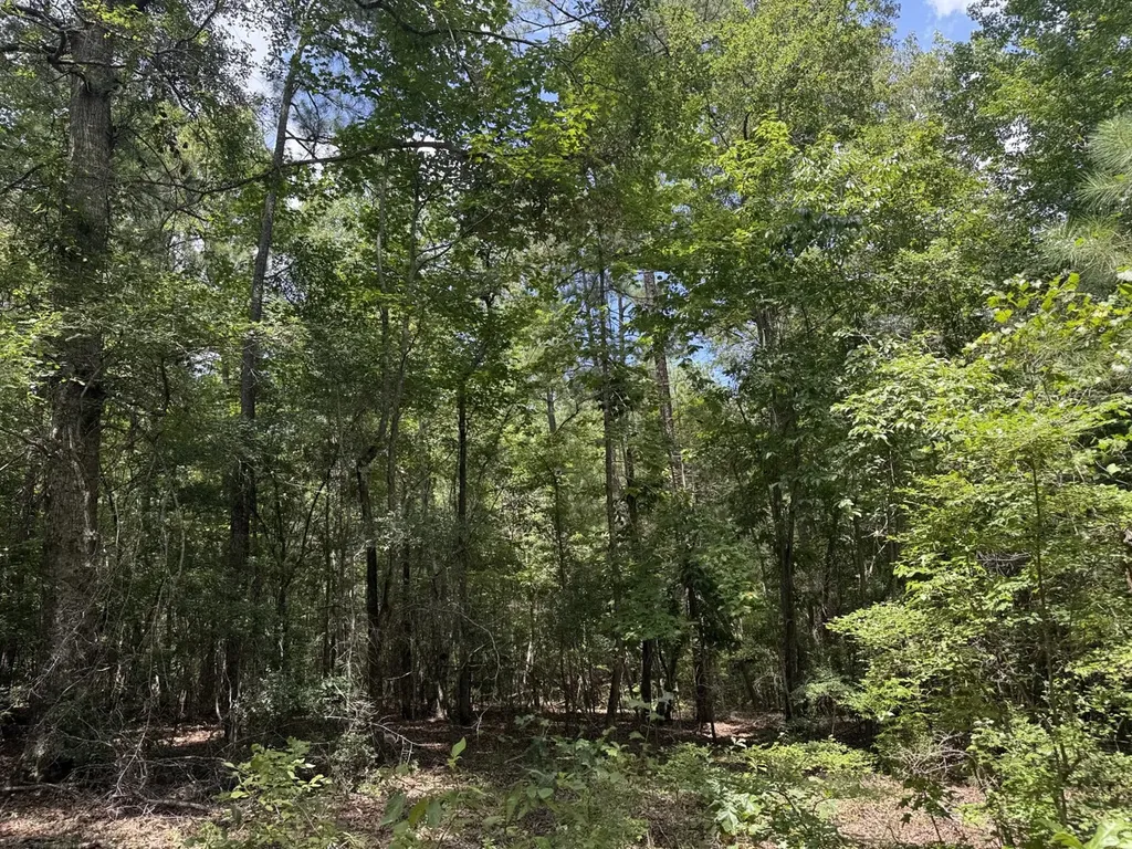 0 County Road 51 Greensboro AL 36744