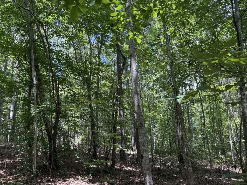 0 County Road 51 Greensboro AL 36744