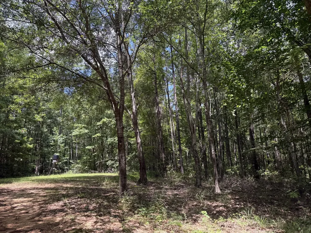 0 County Road 51 Greensboro AL 36744