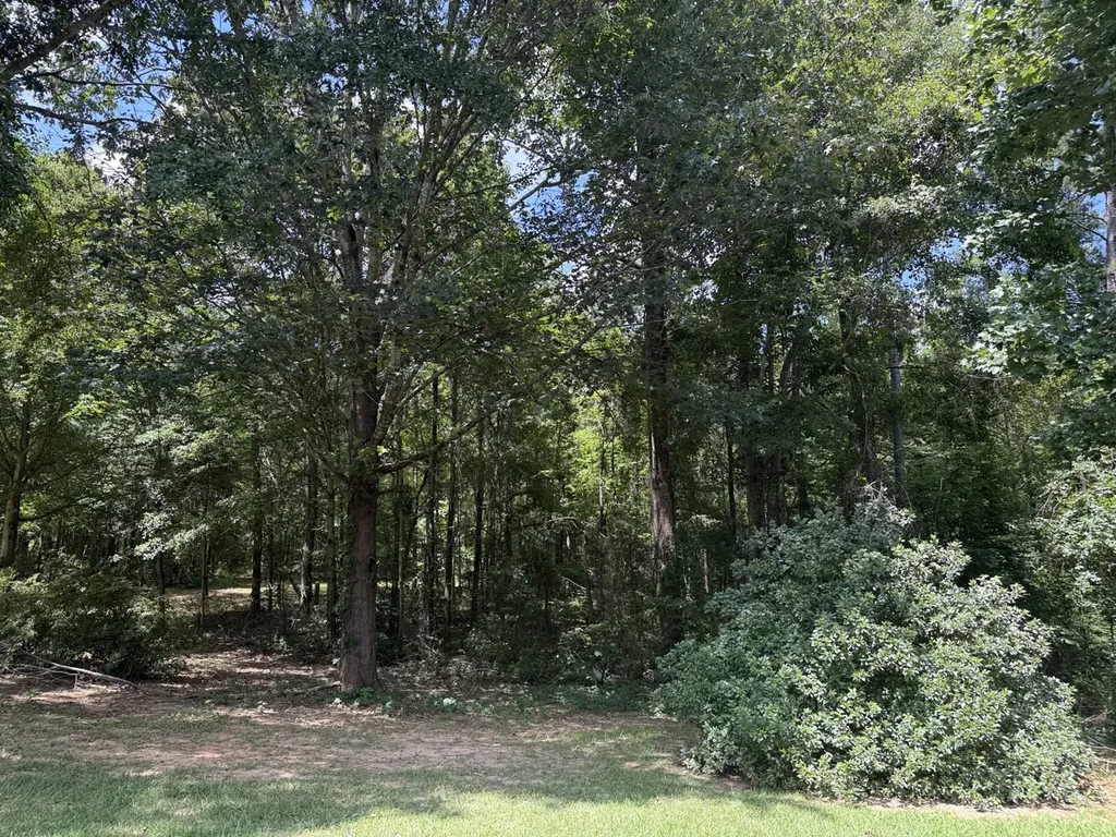 0 County Road 51 Greensboro AL 36744