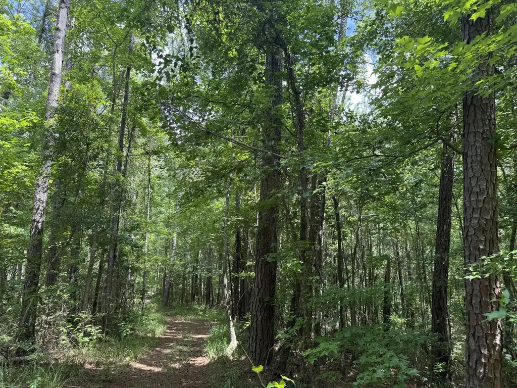 0 County Road 51 Greensboro AL 36744