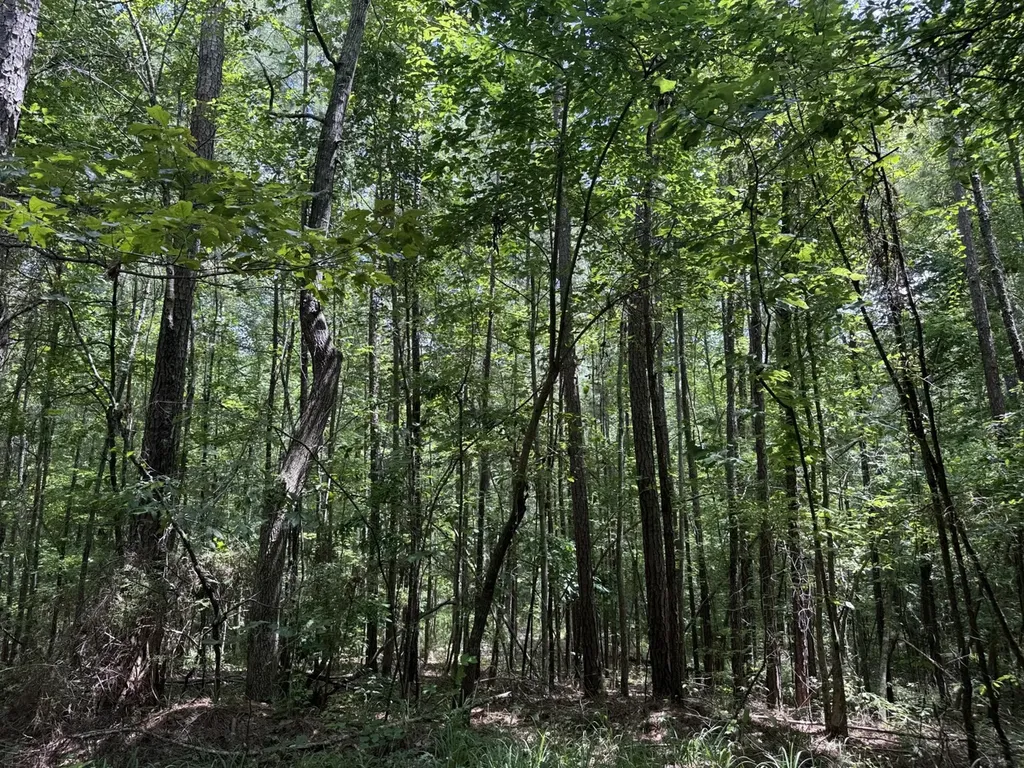 0 County Road 51 Greensboro AL 36744