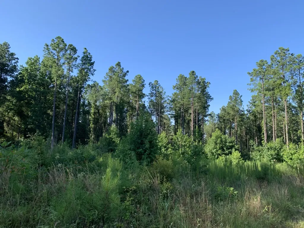 0 County Road 51 Greensboro AL 36744