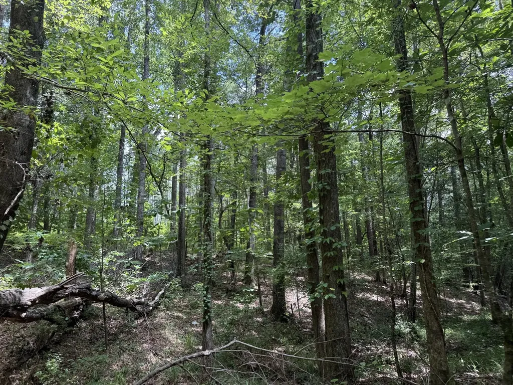 0 County Road 51 Greensboro AL 36744