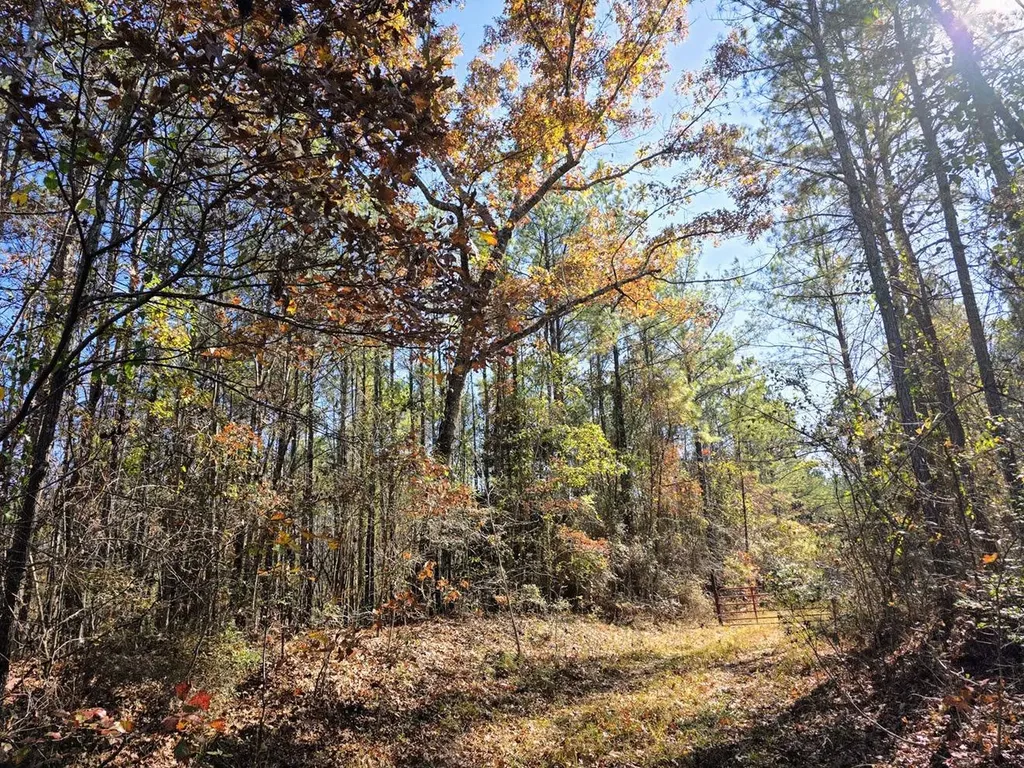 1 County Road 23 Marion AL 36756