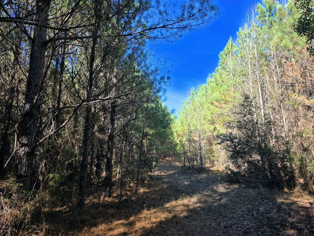 1 County Road 23 Marion AL 36756