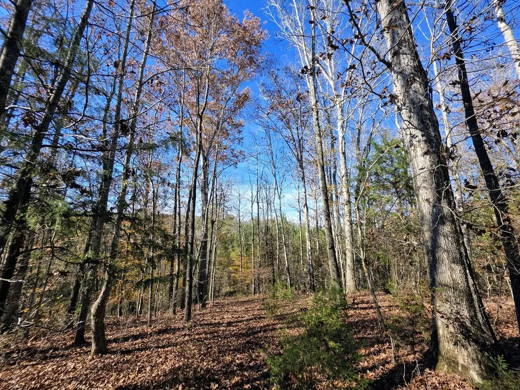 1 County Road 23 Marion AL 36756