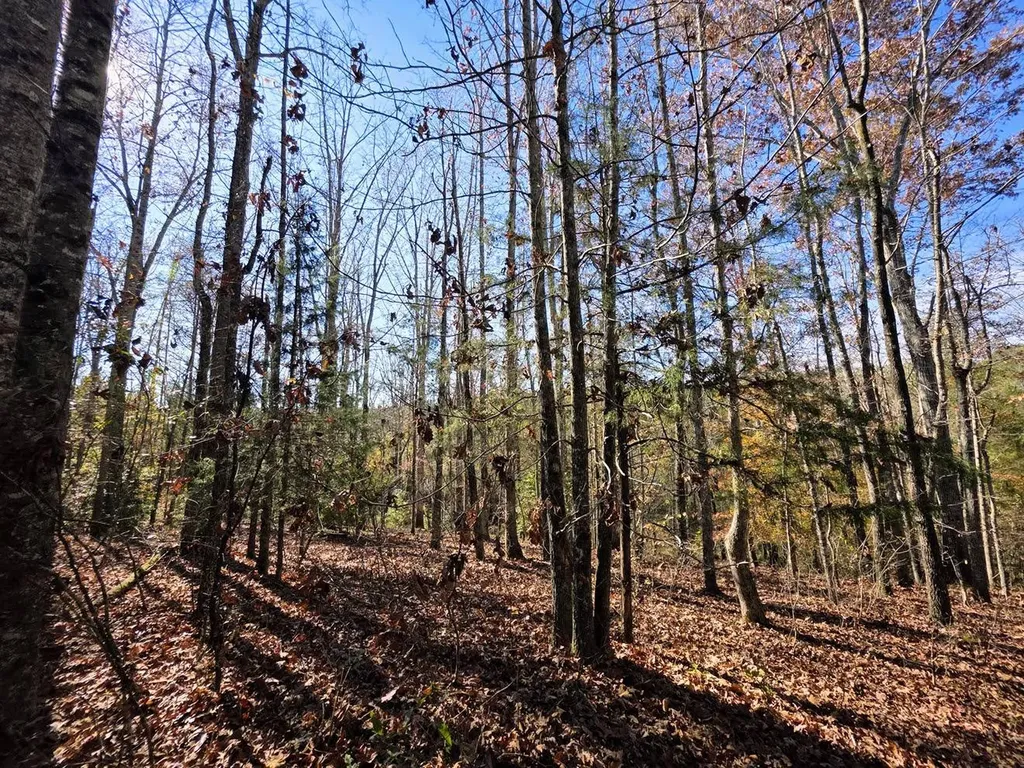 1 County Road 23 Marion AL 36756