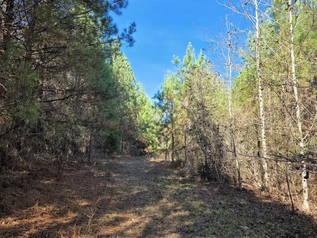 1 County Road 23 Marion AL 36756