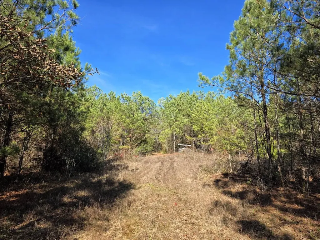 1 County Road 23 Marion AL 36756