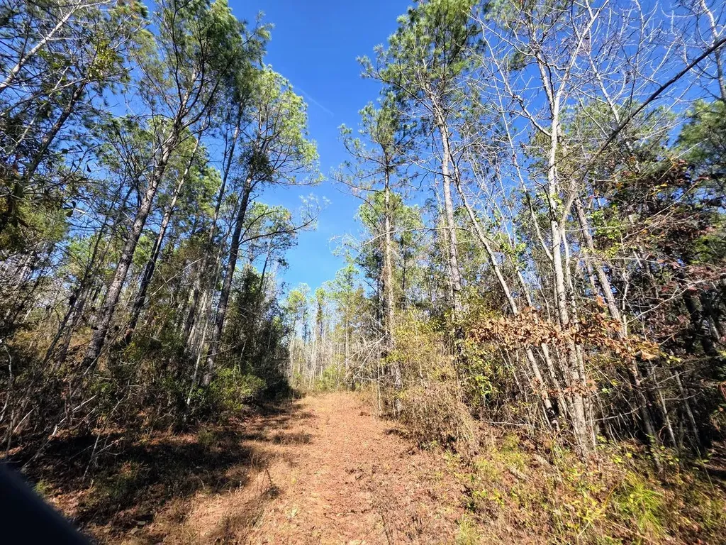 1 County Road 23 Marion AL 36756