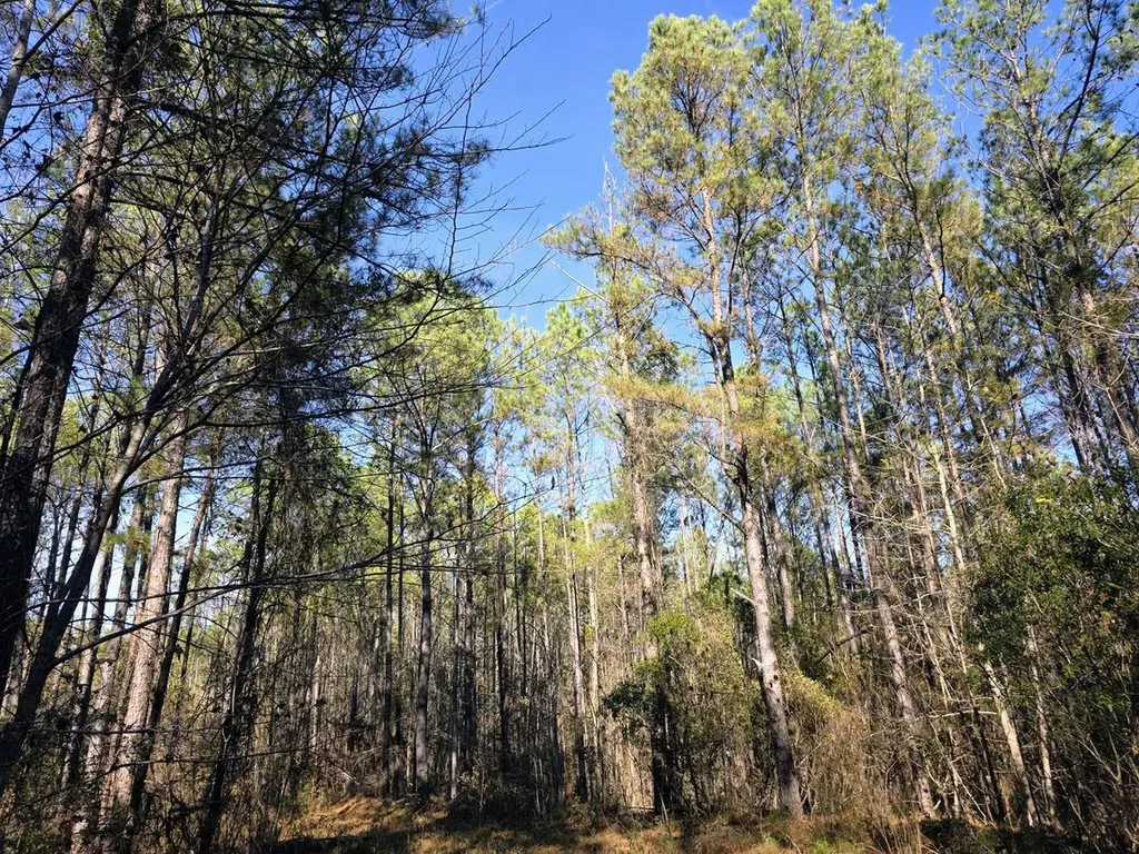 1 County Road 23 Marion AL 36756