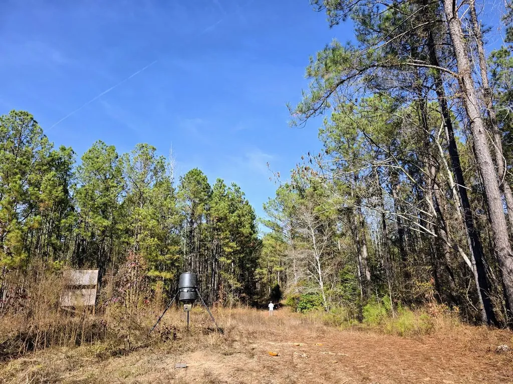 1 County Road 23 Marion AL 36756