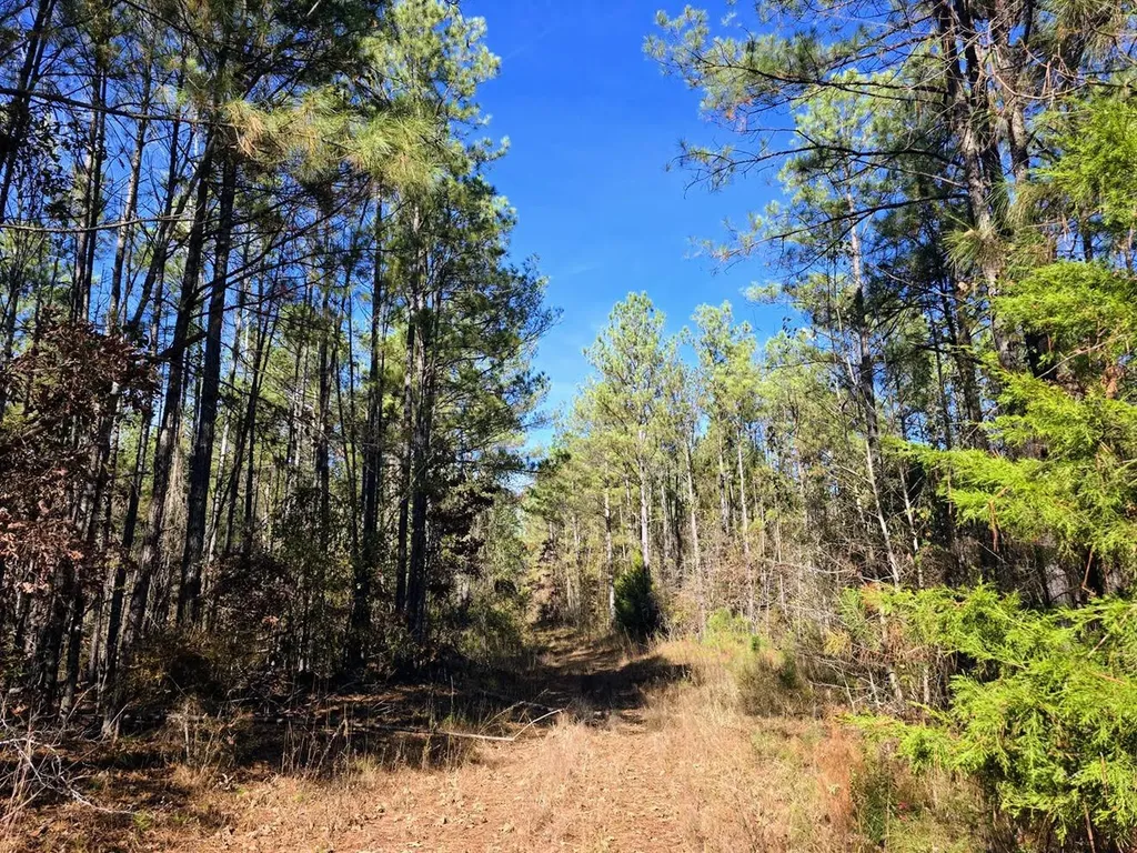 1 County Road 23 Marion AL 36756