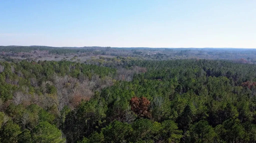 1 County Road 23 Marion AL 36756