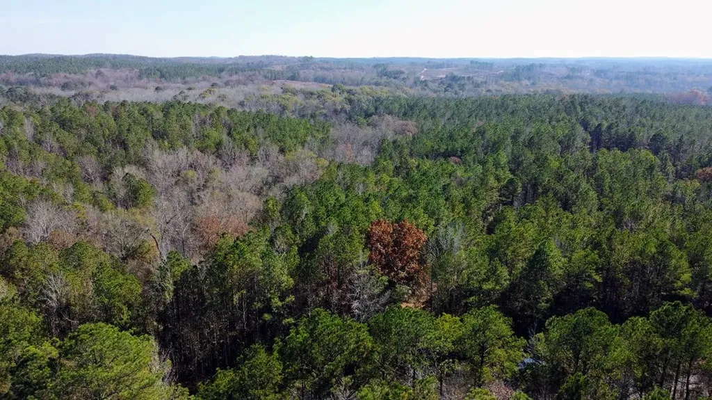 1 County Road 23 Marion AL 36756