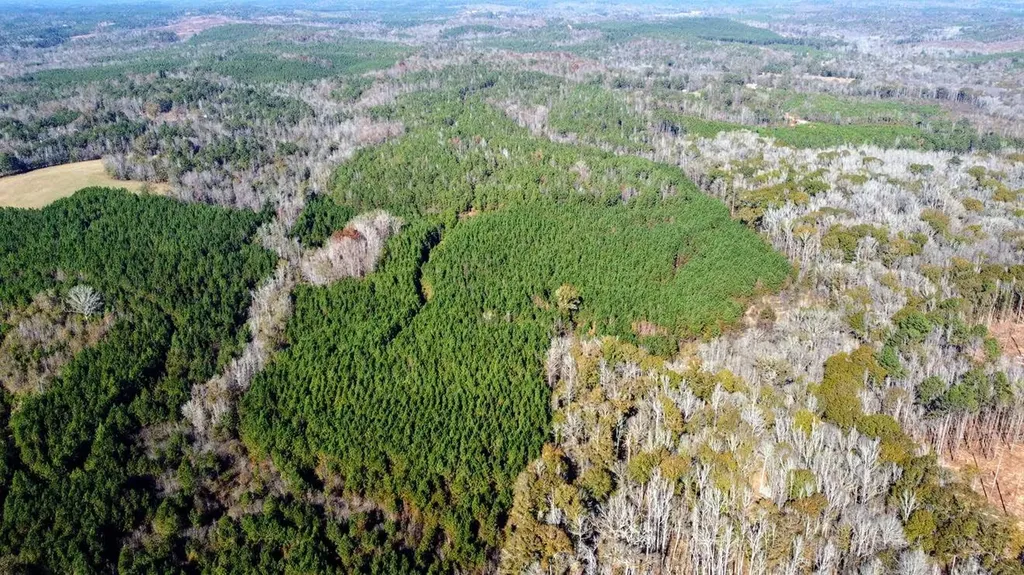 1 County Road 23 Marion AL 36756