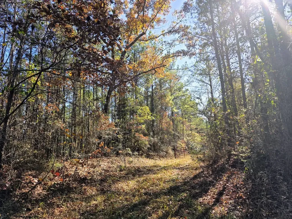 1 County Road 23 Marion AL 36756