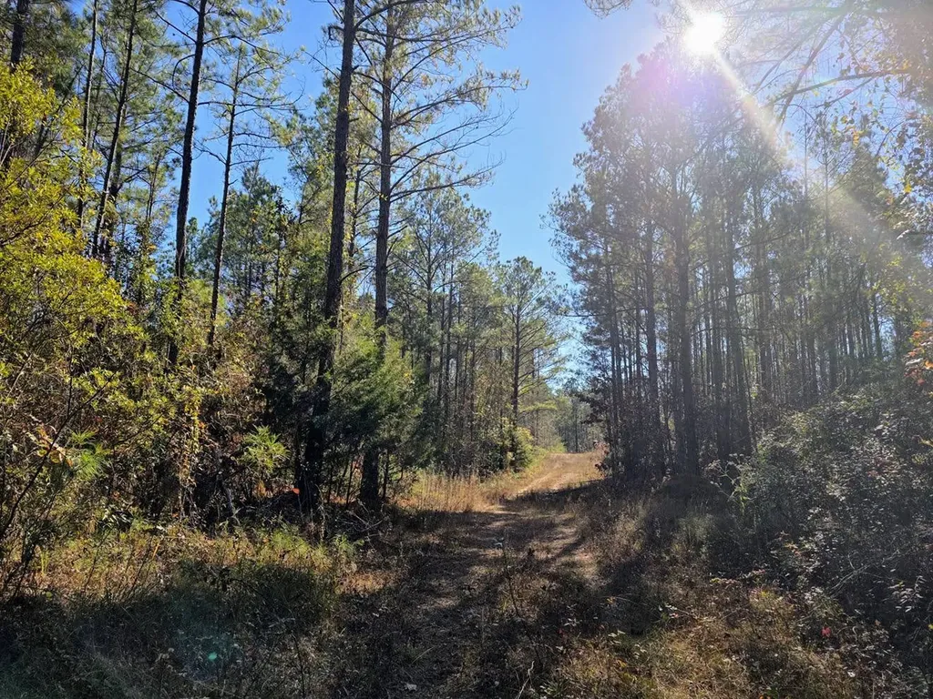 1 County Road 23 Marion AL 36756