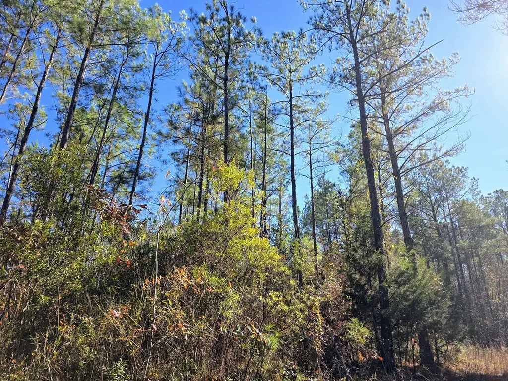 1 County Road 23 Marion AL 36756