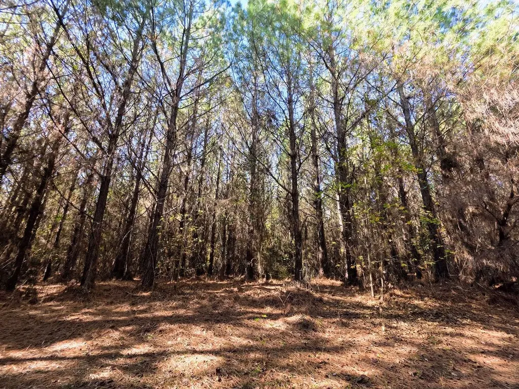 1 County Road 23 Marion AL 36756