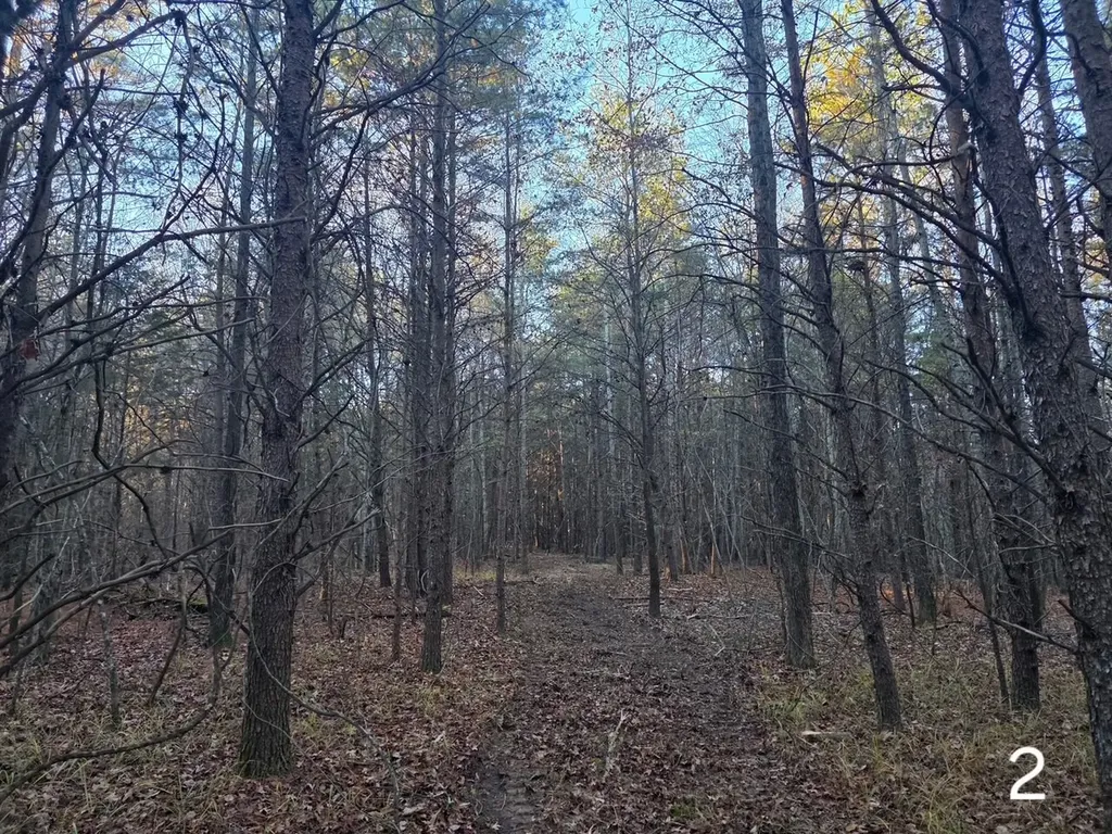 0 Cherokee Co Road 53 Cedar Bluff AL 35959