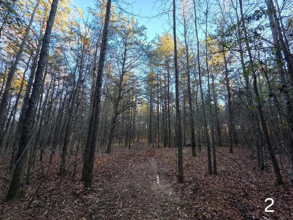 0 Cherokee Co Road 53 Cedar Bluff AL 35959