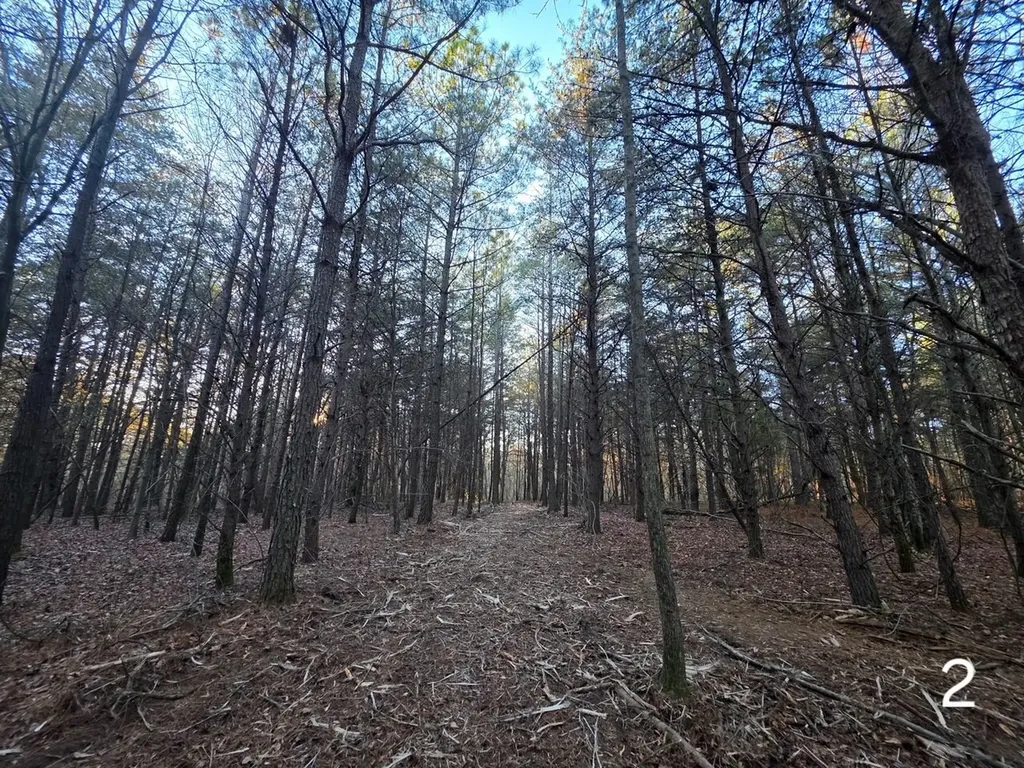 0 Cherokee Co Road 53 Cedar Bluff AL 35959