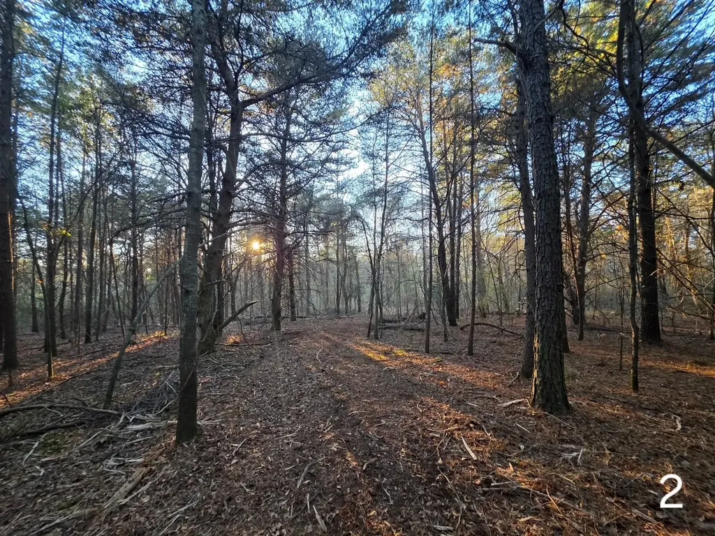 0 Cherokee Co Road 53 Cedar Bluff AL 35959