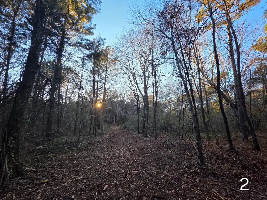 0 Cherokee Co Road 53 Cedar Bluff AL 35959