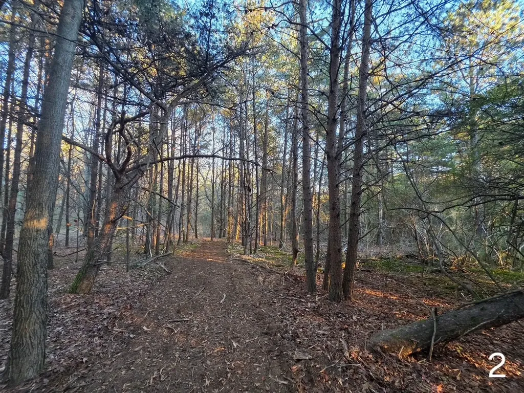 0 Cherokee Co Road 53 Cedar Bluff AL 35959